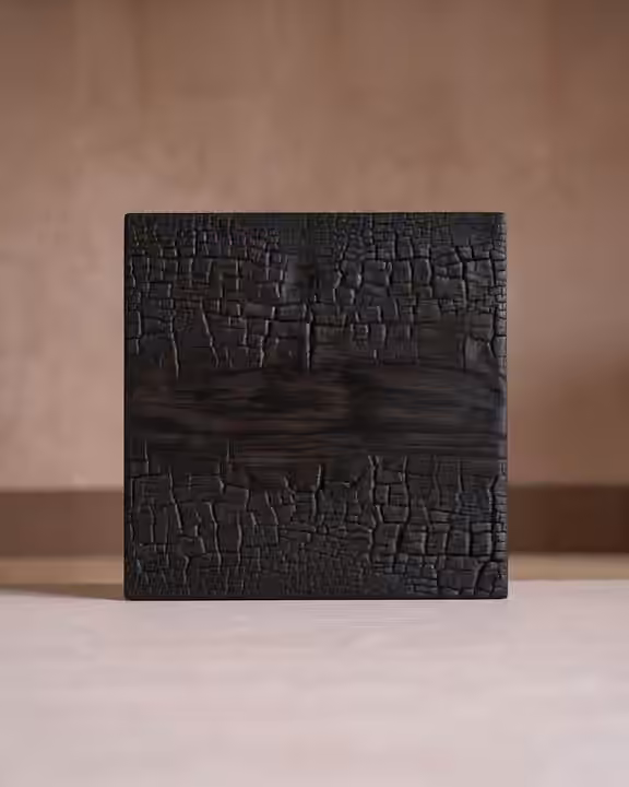 Shou Sugi Ban wood finish sample