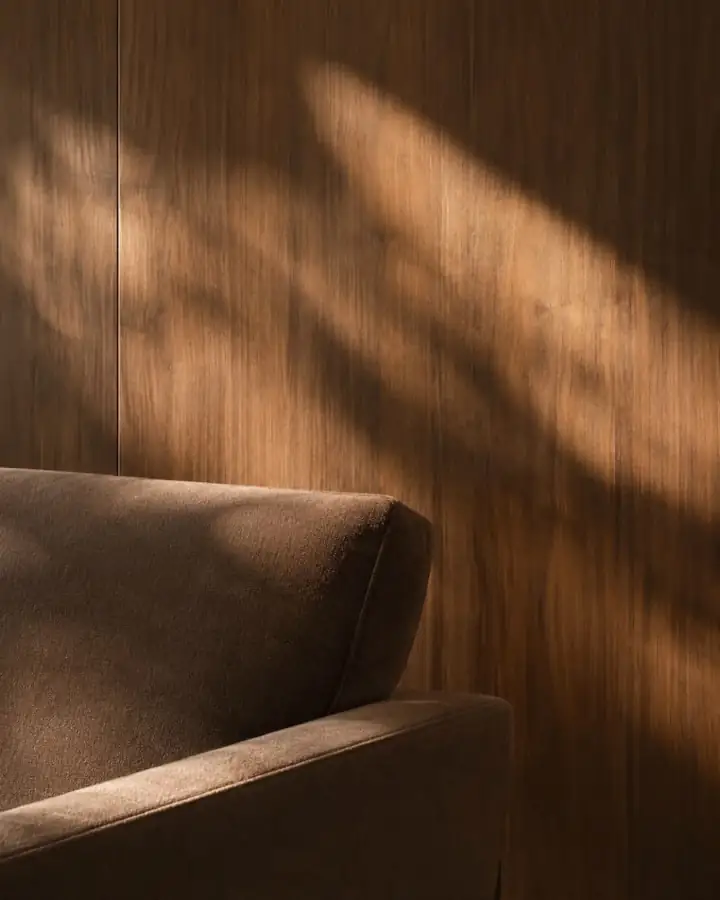 Wood wall panel in low sunlight beside an upholstered sofa.